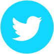 twitter X button